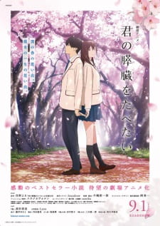  Kimi no Suizou wo Tabetai